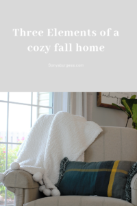 Comfy chair with fuzzy throw and fall pillow