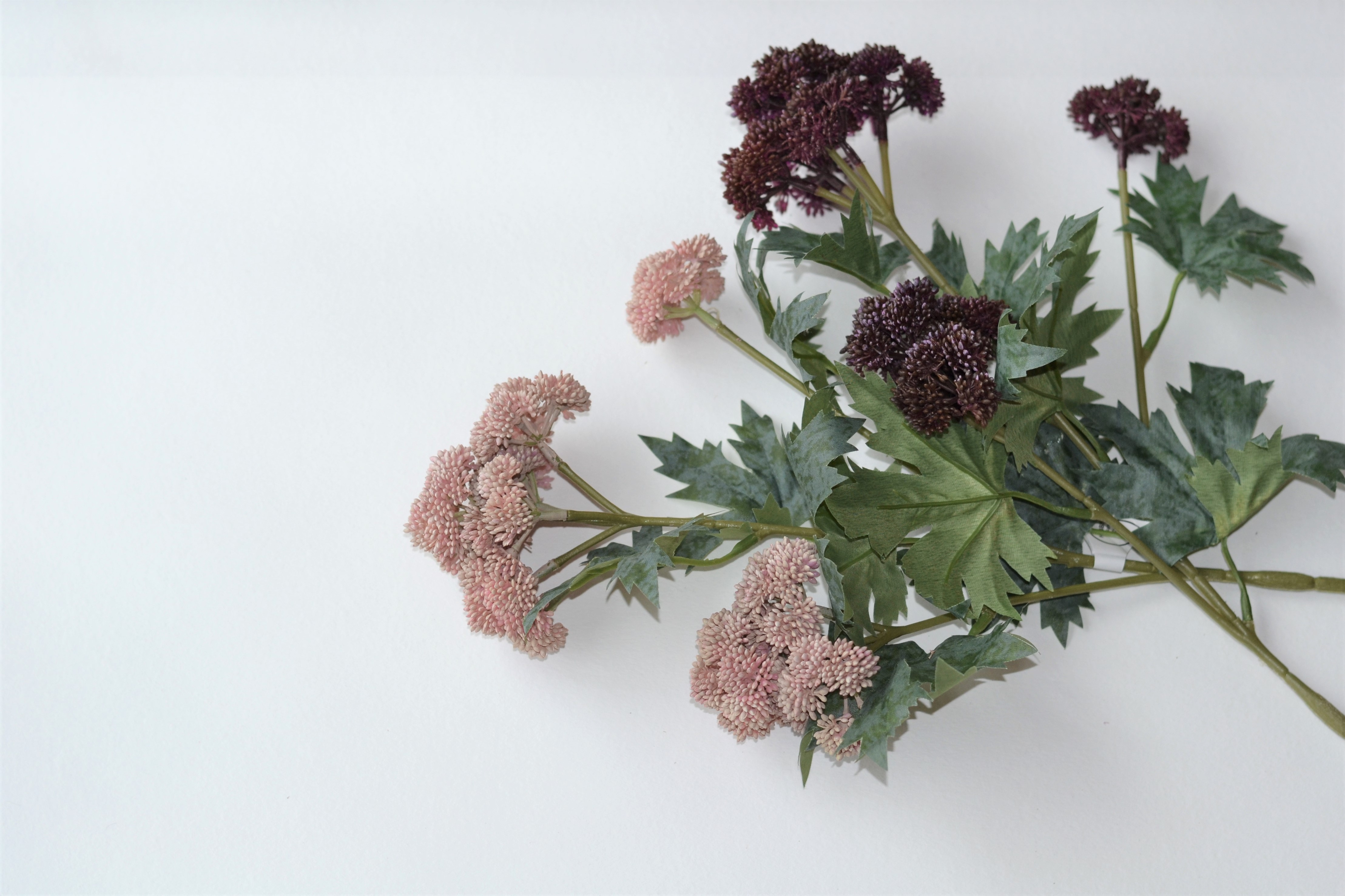 Pink and Burgundy eggplant berry stems