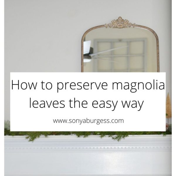 Preserving magnolia leaves