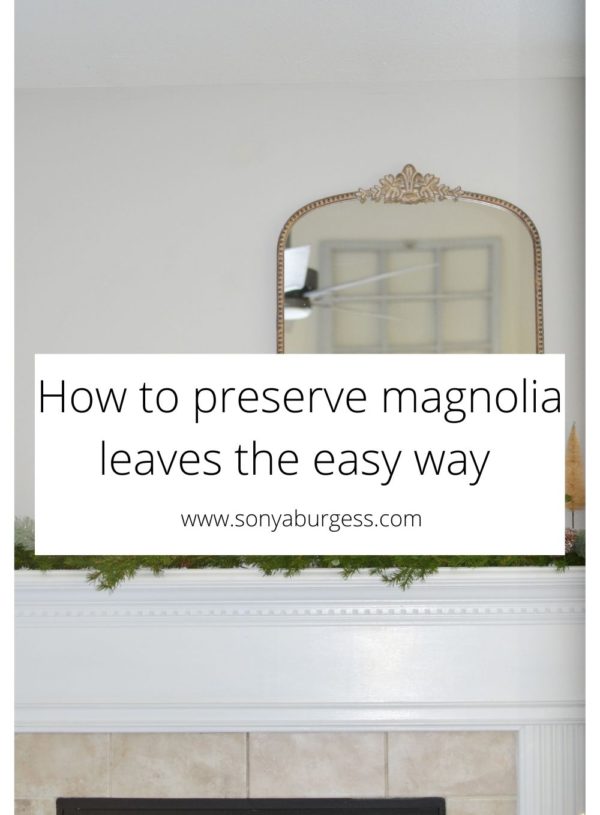 Preserving magnolia leaves