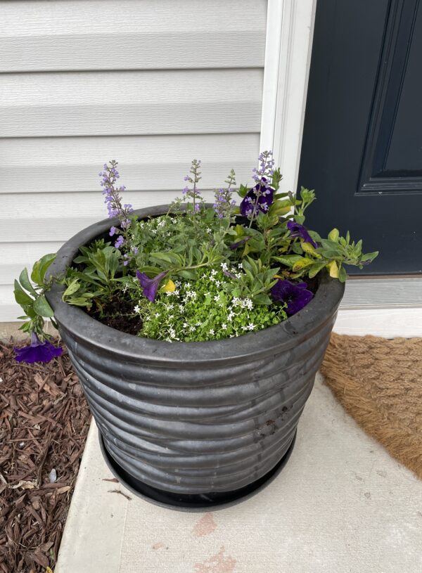 Tips on creating a beautiful container flower garden for a small porch