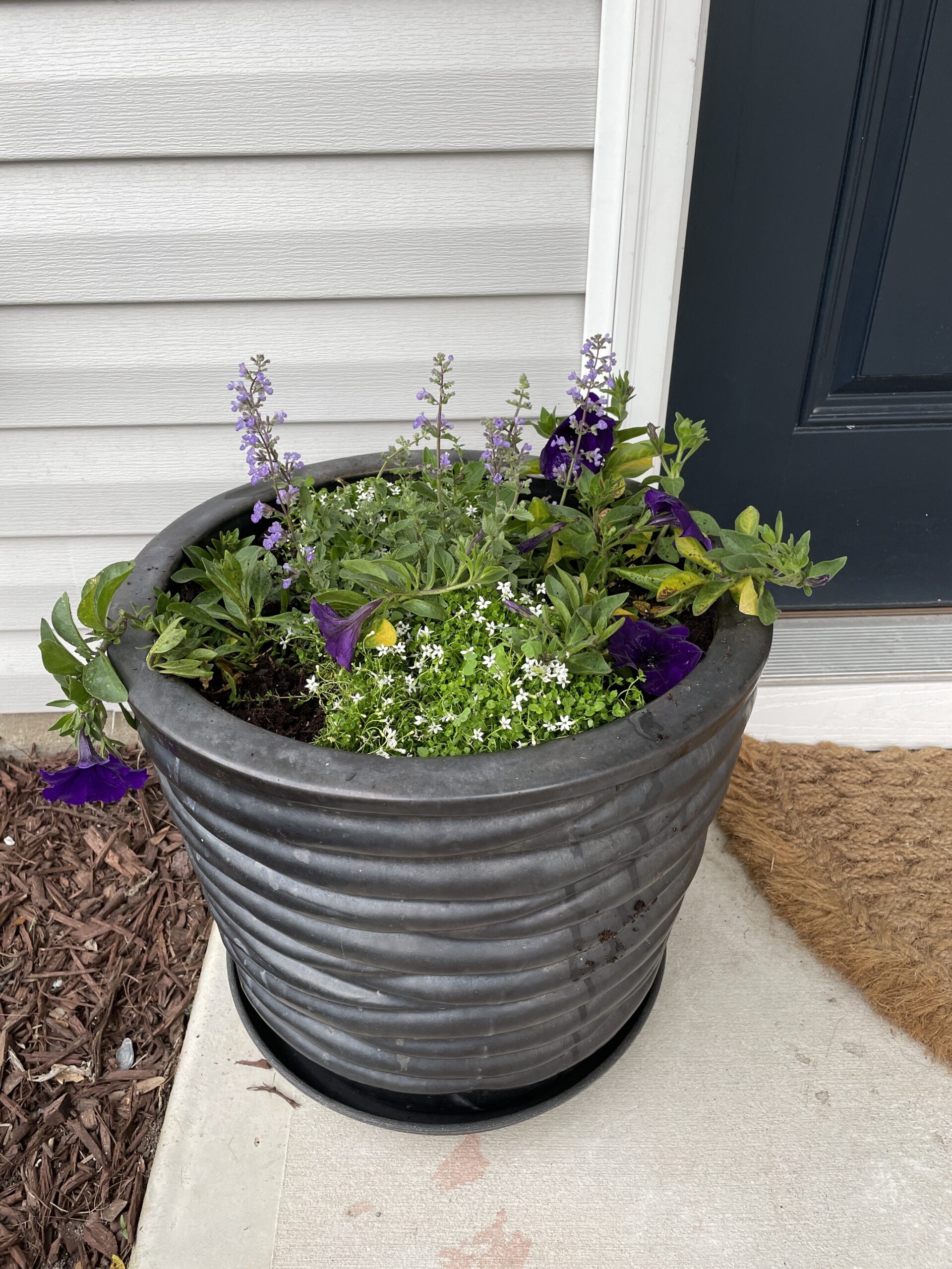 Tips on creating a beautiful container flower garden for a small porch
