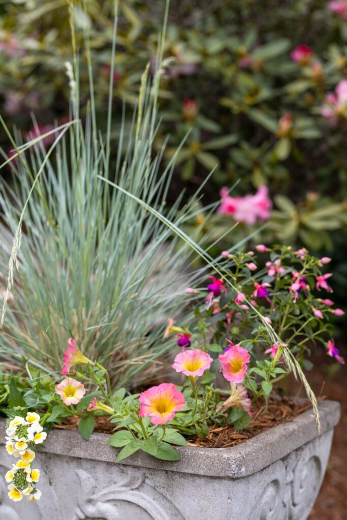 Container flower gardens