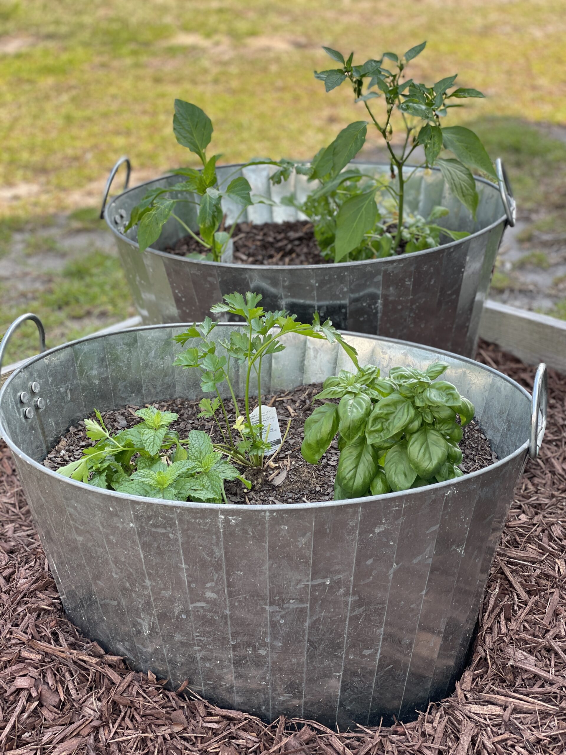 Upcycled container herb garden made easy